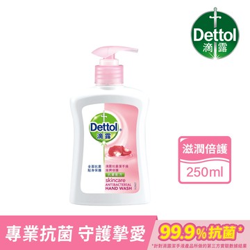 滴露抗菌潔手液(滋潤倍護)250ml*1瓶