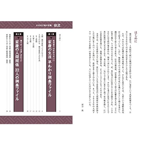 なるほど徳川家康 30分でまるっとわかる 歴史が苦手な人のための早わかり調査ファイル