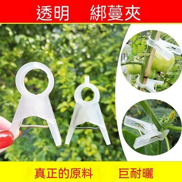 ✅店家嚴選 ⑦天鑒賞✅吊秧夾子大棚黃瓜西紅柿吊秧夾番茄子農用吊蔓扶蔓綁蔓夾落秧夾子