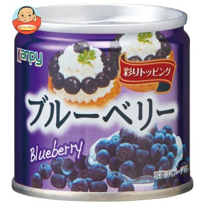 カンピー ブルーべリー 85g缶×24個入×(2ケース)｜ 送料無料