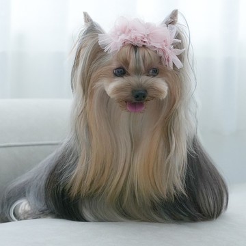 NO.128 塑料防滑夾