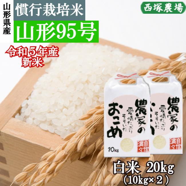 慣行栽培米 山形95号　岩魚米 （令和5年産）白米 20kg