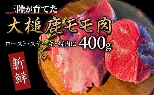 大槌産 鹿肉（モモ肉 400g）