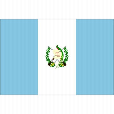 【外国旗】グアテマラ共和国国旗（テトロントロピカル）　サイズ：50×75cm【領収書発行】
