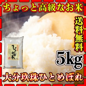 お米 米 5kg 白米 送料無料 大分県 玖珠産 ひとめぼれ あす着 高級米 新米 令和5年産 ヒトメボレ 5kg1個  棚田米 富田商店 とみた商店