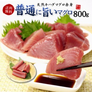 天然キハダマグロ赤身メガ盛り800g 送料無料《pbt-yf1》〈yf1〉[[キハダ赤身800g]