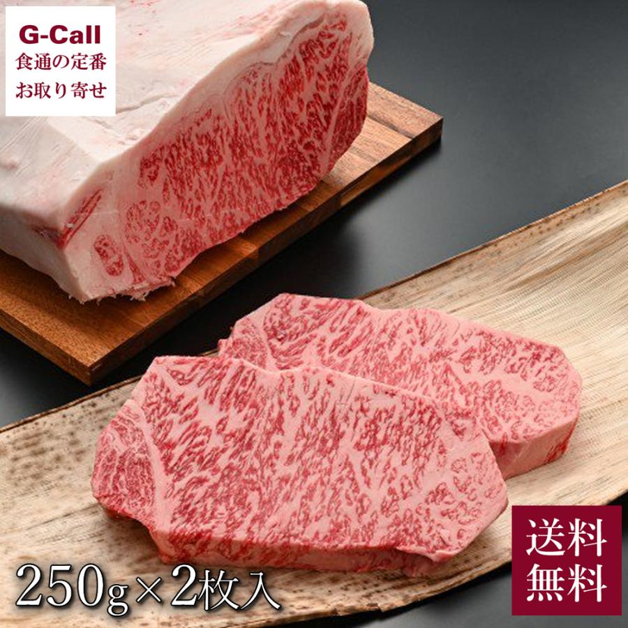 内山肉店 雪温熟成 サーロインステーキ 250g×2枚 送料無料