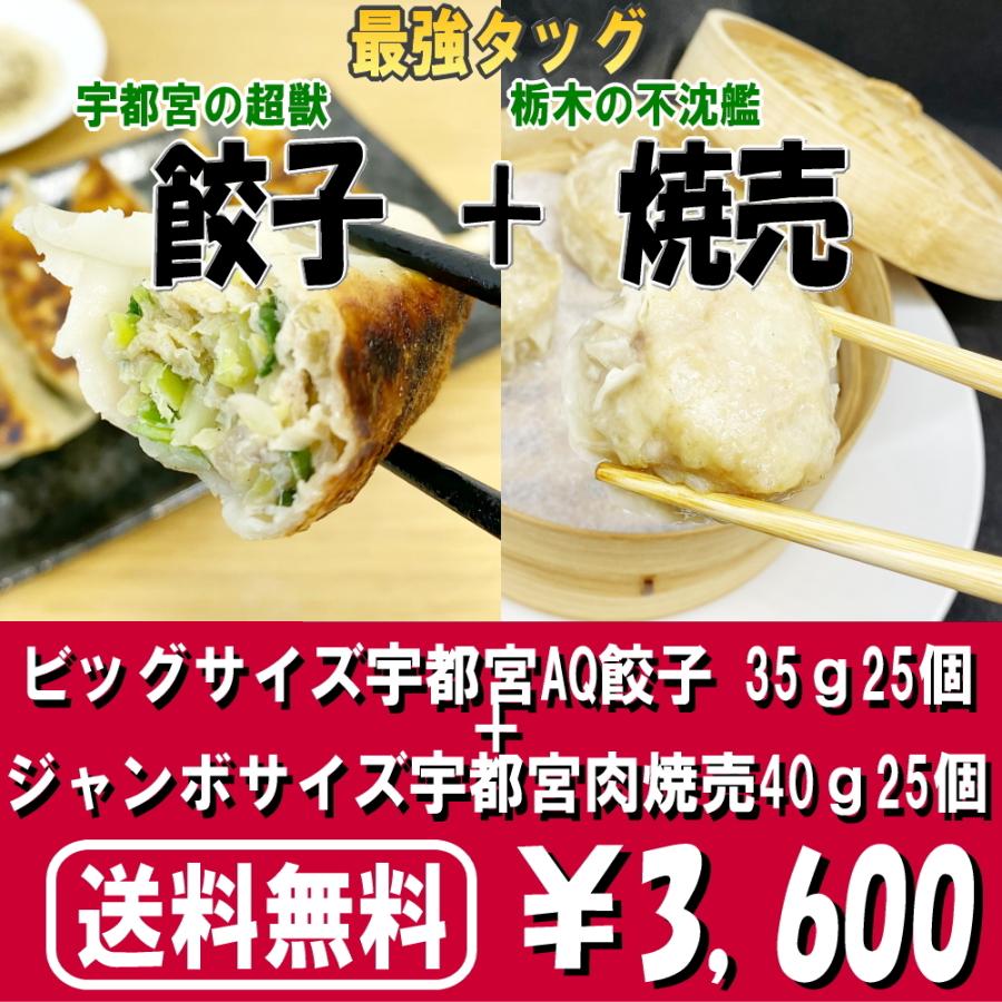 送料無料 冷凍餃子 宇都宮AQ餃子肉焼売セット  宇都宮 餃子 ぎょうざ ギョーザgyouza 餃子焼売セット シュウマイ シューマイ