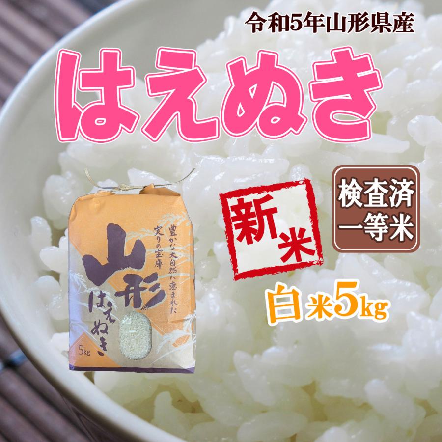 令和5年産 新米 送料無料 山形県産 はえぬき 白米 5kg 五キロ お米 おこめ 白米 はくまい