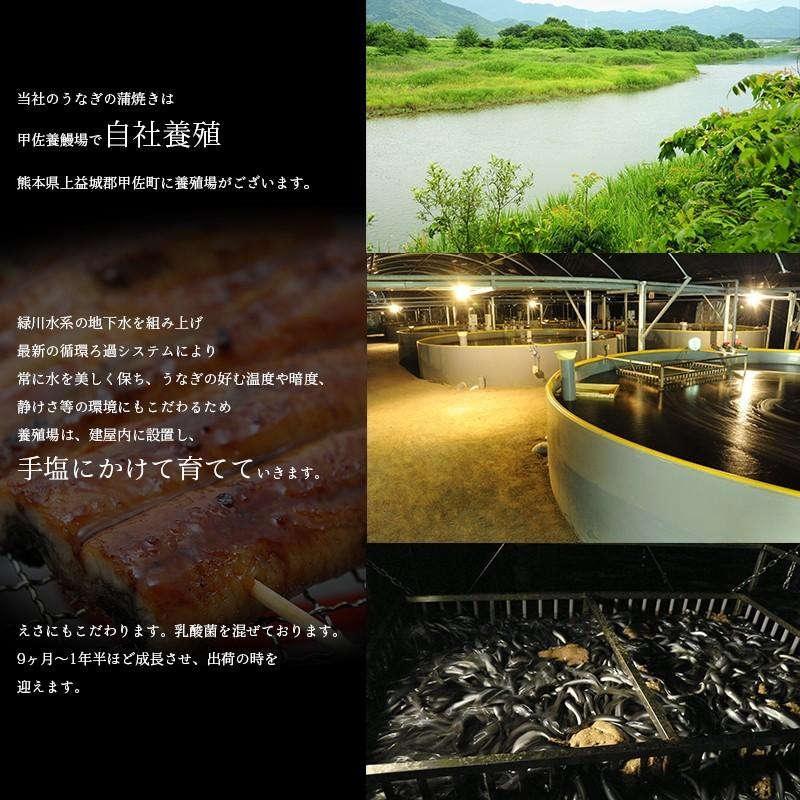 うなぎ 国産うなぎのおにぎり2種6個 贈答にぴったり 鰻が入った贅沢なおにぎり 送料無料   贈り物 ギフト グルメ プレゼント