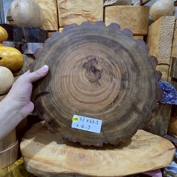 香樟木 100號 花盆底座 水晶柱底座 大台座 30公分以上 含有香樟木樹皮 芳山店香樟館
