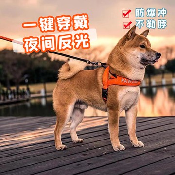 美國酷極Perfit狗狗胸背帶 小中大型犬外出遛狗柴犬防爆沖胸背帶
