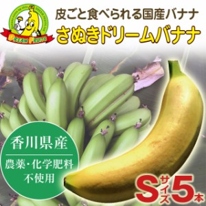 さぬきドリームバナナ 皮ごと食べられる（Sサイズ ５本）【美味しい 完熟