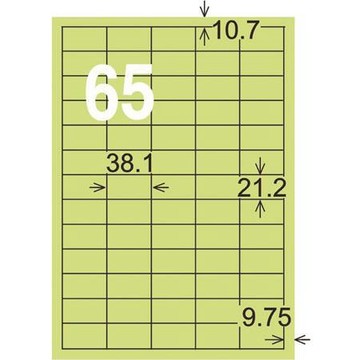 龍德三用列印電腦標籤/LD-806-G-C/淺綠/65格/20張/包