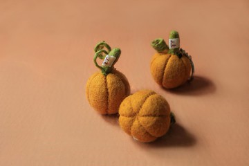 羊毛氈蔬果鑰匙圈/南瓜