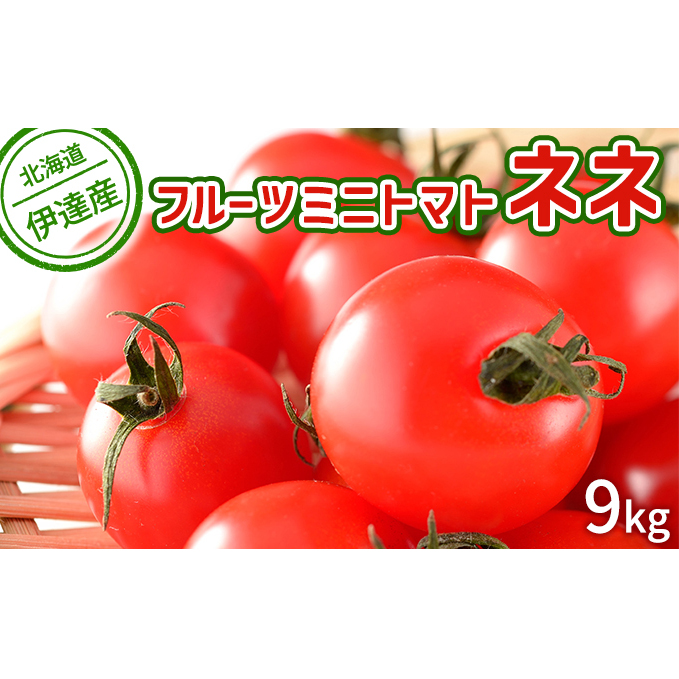 北海道 伊達 大滝農園 ミニトマト 幻の 高糖度 フルーツ ネネ 約9kg トマト フルーツトマト ジューシー 甘い 濃厚