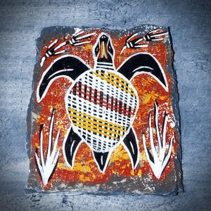 Cultures et pédagogies