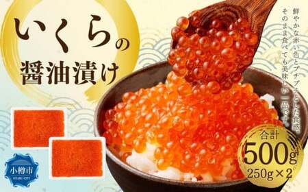 いくらの醤油漬け 500g (250g×2)