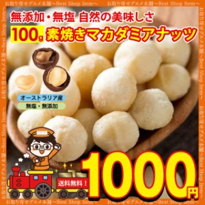 1000円 ぽっきり 訳あり割れ マカダミアナッツ 素焼き 無塩 無添加 ロースト 送料無料 お試し 100g オーストラリア産 ナッツ 食物繊維 不