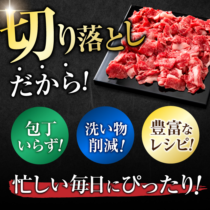 佐賀牛 切り落とし 計 600g （ 150g ×4パック） 吉野ヶ里町 一ノ瀬畜産 [FDC008]