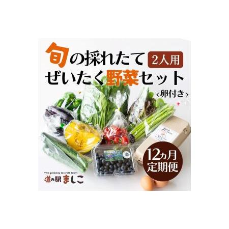 ふるさと納税 AA004 ＜12か月定期便＞旬の採れたてぜいたく野菜セット（卵付き）2人用　定期便 12カ月 野菜 やさい セット 旬 採れたて 卵 2人用.. 栃木県益子町