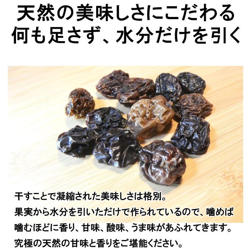 無添加 国産 ドライフルーツ 安心院干しぶどう 種なしピオーネ 35g レーズン 葡萄 ブドウ 砂糖不使用 産地直送 メール便 ドリームファーマーズ 送料無料