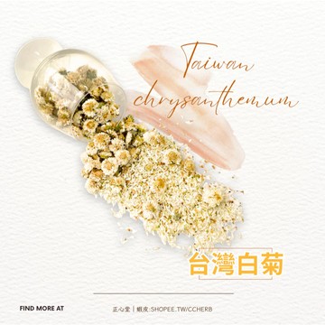 台灣白菊花 37.5克 檢驗合格 一級棒 菊花 苗栗銅鑼杭白菊 菊花茶 台灣白菊 花茶批發 乾燥菊花 苗栗白菊 現貨