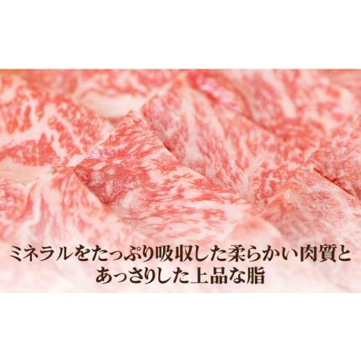 ふるさと納税 長崎県 壱岐市  壱岐牛 肩ロース 500g（焼肉用）《壱岐市》 肉 牛肉 焼肉 BBQ 赤身 [JBO095]