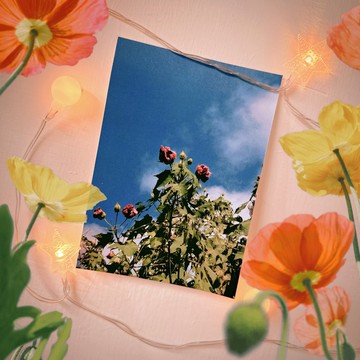 have a nice day 外星人遊台灣明信片/酷卡/貓空花花