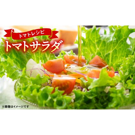 ふるさと納税    八代市産 規格外トマト 4.5kg 熊本県 トマト 野菜 熊本県八代市