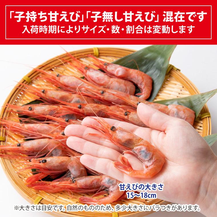 甘エビ 刺身 1kg（250g×4) 60-100尾 甘えび 甘海老 あまえび 冷凍 子持ち 子無し サイズ不揃い 福井産 えび 海老 ((冷凍))