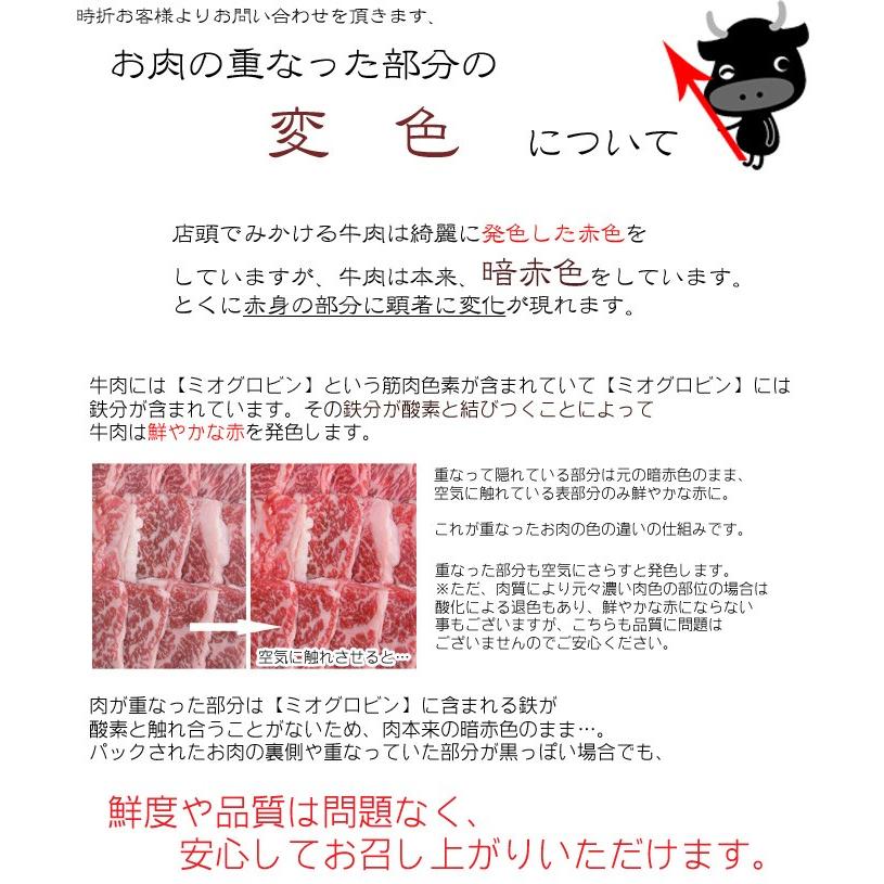 肉 訳あり 飛騨牛 切り落とし 500g 牛肉 黒毛和牛 わけあり お取り寄せグルメ