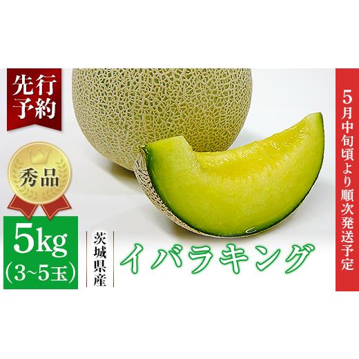 ふるさと納税 茨城県 茨城町 082-3茨城県産イバラキング約5kg（3~5玉）