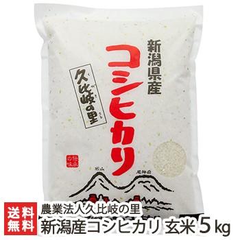 特別栽培米（減農薬・減化学肥料）新潟産 コシヒカリ 玄米5kg ギフトにも！ のし無料 送料無料