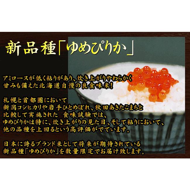 新米 5kg ゆめぴりか 北海道産 精白米 白米 令和5年産 送料無料 特A