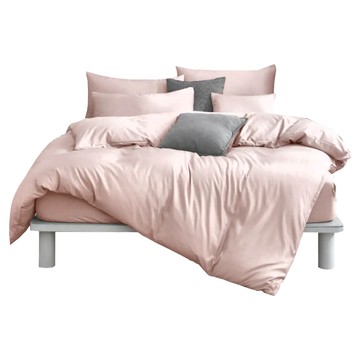 Blue Cat 藍貓 100支天絲素色纖維 3.5x6.2  床包 + 兩用被套 + 枕套組  3.5尺  香檳金