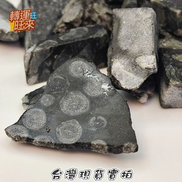 【台灣現貨】多款 龍宮 黑靈骨 舍利 跳出 碎石 能量 礦石 擺件 轉運 開運 招財 避邪 去煞 添好運 風水 靈招