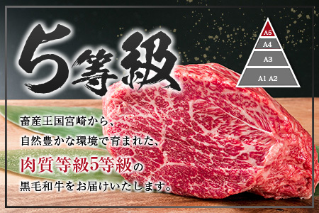 数量限定「5等級黒毛和牛モモスライス」計1kg 肉 牛 牛肉 国産 すき焼き しゃぶしゃぶ_CB74-23-04