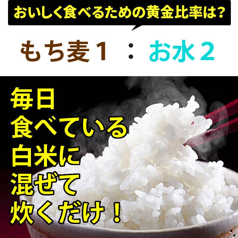 もち麦 1kg 米国産 メール便