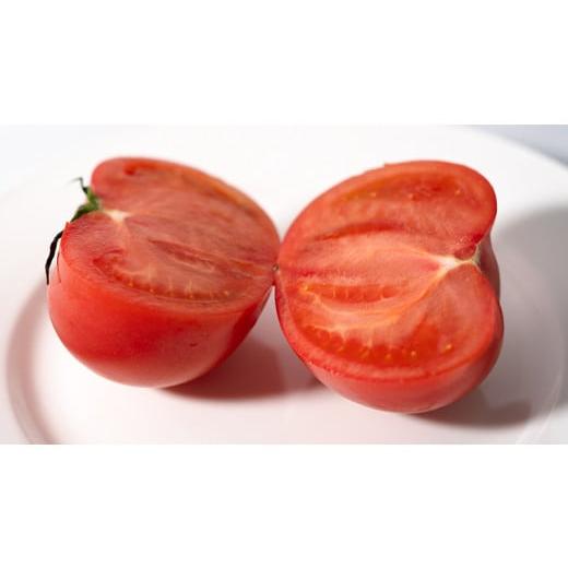 ふるさと納税 茨城県 筑西市  スーパーフルーツトマト 小箱 約800g × 1箱  糖度9度 以上 野菜 フルーツトマト フルーツ …