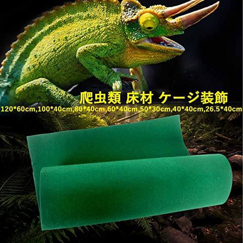 Amazon | Pounjsd カメレオン 飼育ケース 爬虫類 ケージ 120cm