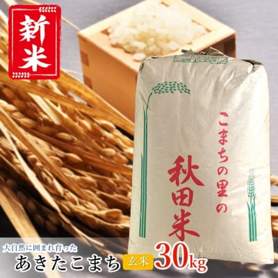 うまい!! 本場のあきたこまち 玄米 30kg[No.5335-0185]