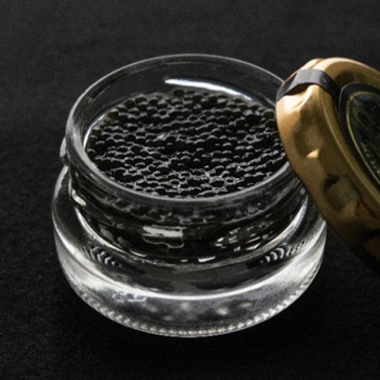 日南発（ひなた）CAVIAR キャビア 20g 国産キャビア 冷凍 産地直送 送料無料