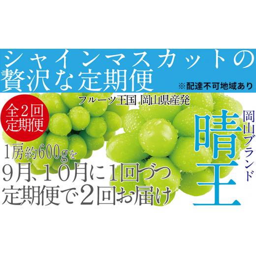 ふるさと納税 岡山県 岡山市 ぶどう 2024年 先行予約 9月・10月発送 シャイン マスカット 晴王 1房 約600g ブドウ 葡萄  岡山県産 国産 フルーツ 果物 ギフト …