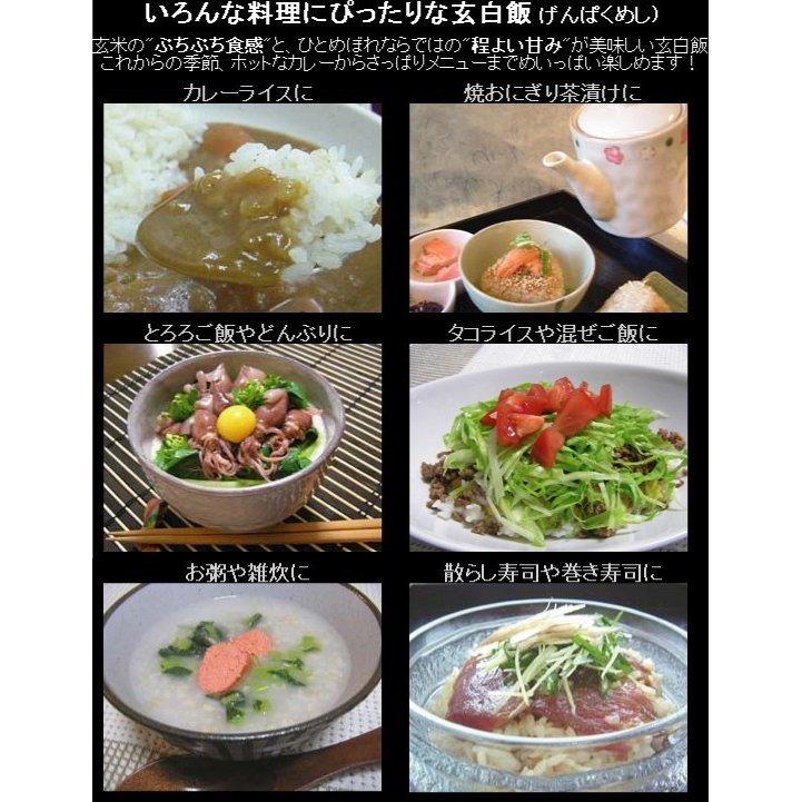 新米 令和5年産 無洗米 5kg×2 玄米 玄白飯 ひとめぼれ 10kg 送料無料 (玄米と白米を1:1でブレンド)（SL）