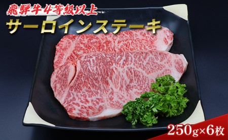 ふるさと納税　飛騨牛 牛肉 ステーキ サーロイン 250g×6枚 計1.5kg A5 和牛