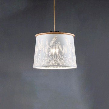 鋼材烤漆造型吊燈 36-61624