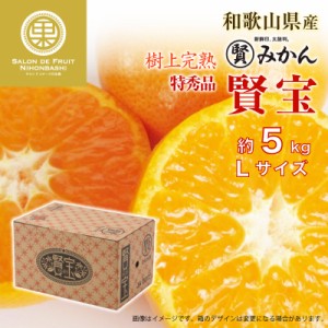 [予約 2023年11月1日-11月30日の納品] 賢宝みかん マル賢みかん 約5kg Lサイズ 特秀 樹上完熟 和歌山県 高品位 冬ギフト お歳暮 御歳暮