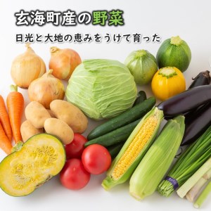 いろどり野菜セット