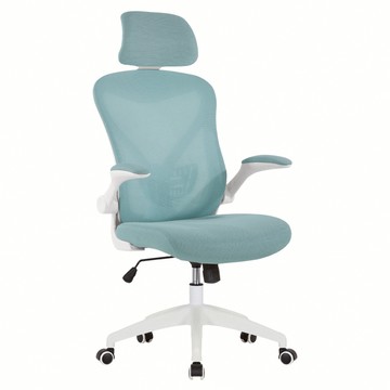 E-home Arno 亞諾網布可旋轉扶手高背電腦椅 EFC110A-bl  60 x 60 x 118~128cm  藍色